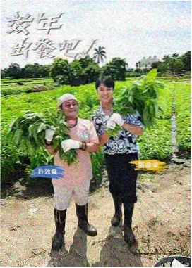 悟空影视 综艺在线观看